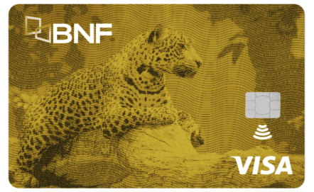 Visa Oro del BNF