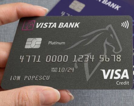 vista platinum credit card